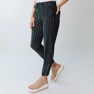 Albion Jetsetter Navy Pinstripe Jogger